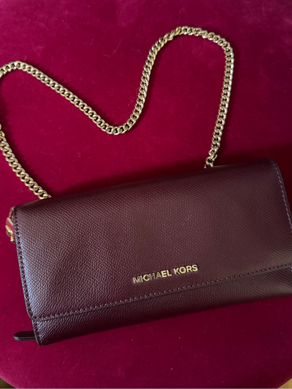 Michael Kors Wallet on Chain